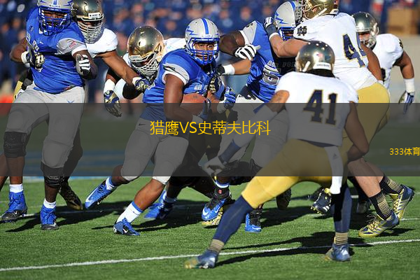 獵鷹VS史蒂夫比科