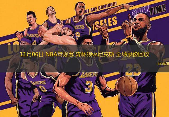 11月06日 NBA常規(guī)賽 森林狼vs尼克斯 全場錄像回放