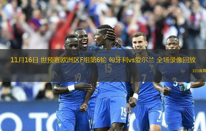 11月16日 世預(yù)賽歐洲區(qū)F組第6輪 匈牙利vs愛(ài)爾蘭 全場(chǎng)錄像回放
