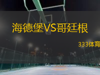 海德堡VS哥廷根