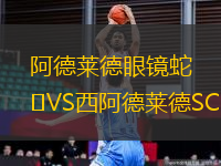 阿德萊德眼鏡蛇VS西阿德萊德SC