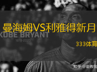 曼海姆VS利雅得新月