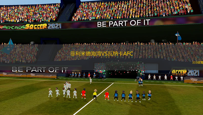 菲利米德海灣VS瓦納卡AFC