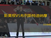 斯莫根VS布列斯特迪納摩