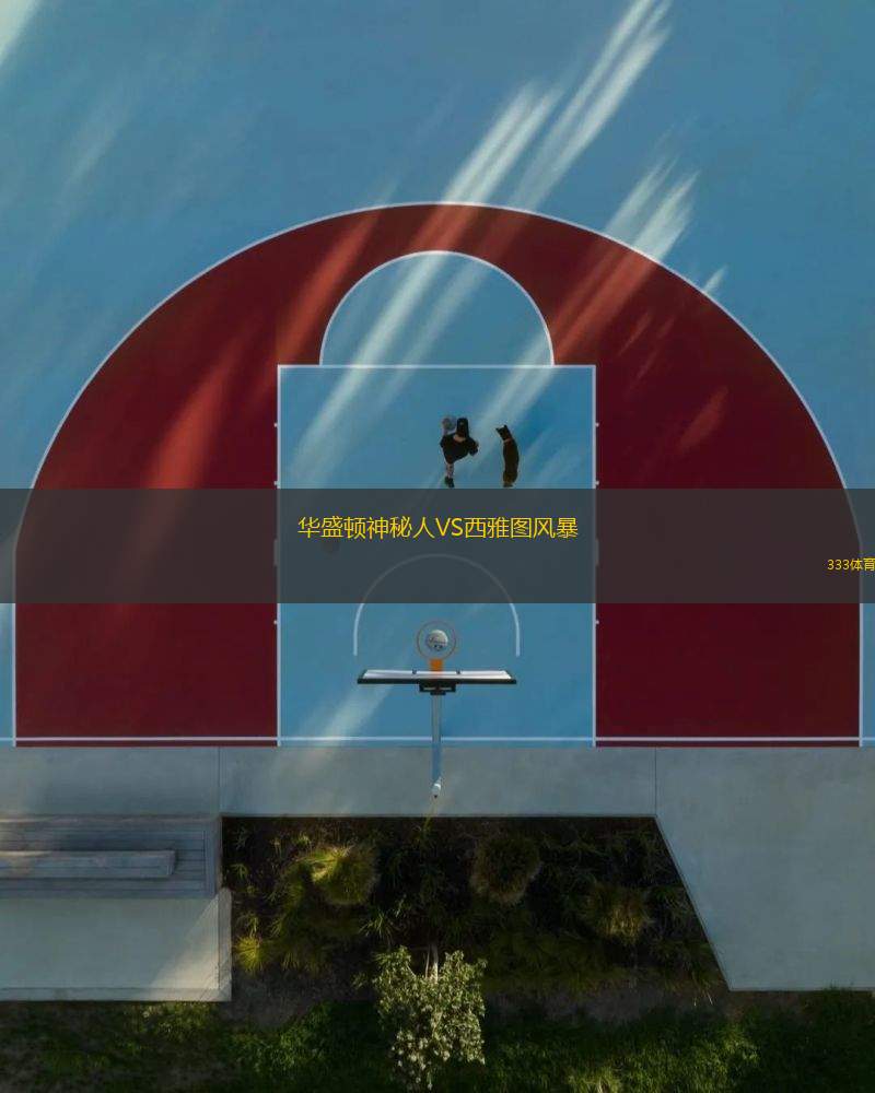 華盛頓神秘人VS西雅圖風暴