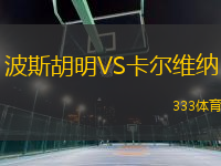 波斯胡明VS卡爾維納