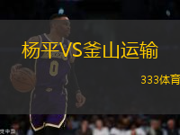 楊平VS釜山運(yùn)輸