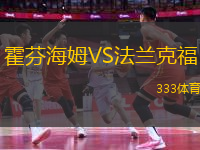 霍芬海姆VS法蘭克福