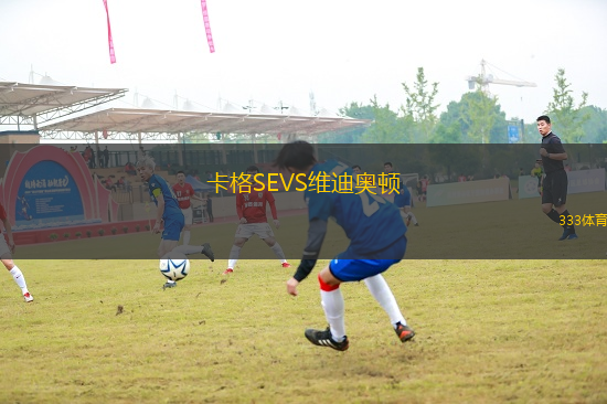 卡格SEVS維迪奧頓