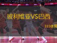 玻利維亞VS巴西