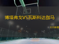 博塔弗戈VS瓦斯科達伽馬