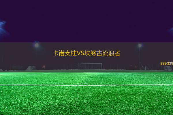 卡諾支柱VS埃努古流浪者