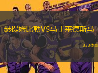 瑟提姆比勒VS馬丁萊德斯馬