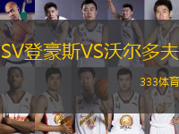 SV登豪斯VS沃爾多夫