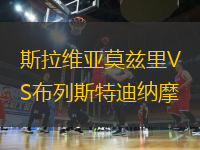 斯拉維亞莫茲里VS布列斯特迪納摩