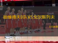 哈維德夫B隊VS戈爾斯列夫