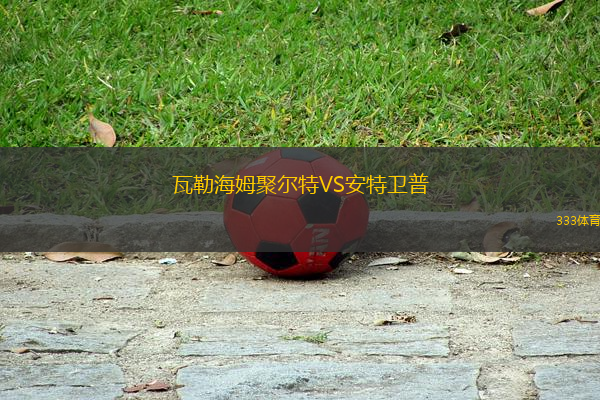 瓦勒海姆聚爾特VS安特衛(wèi)普