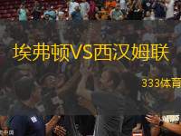 埃弗頓VS西漢姆聯(lián)