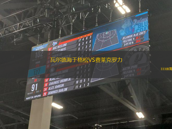 瓦爾德海于格松VS費(fèi)萊克羅力