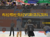 布拉格杜克拉VS斯洛瓦茨科