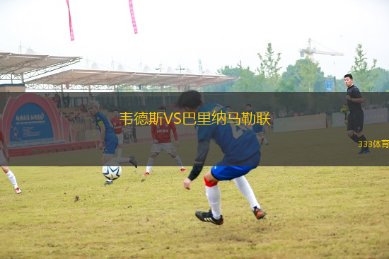 韋德斯VS巴里納馬勒聯(lián)