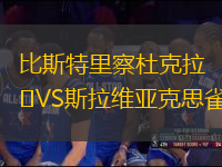 比斯特里察杜克拉VS斯拉維亞克思雀
