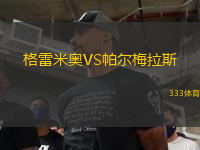 格雷米奧VS帕爾梅拉斯
