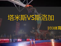 塔米斯VS斯洛加