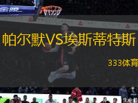 帕爾默VS埃斯蒂特斯