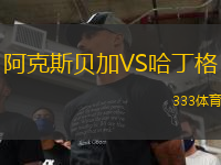 阿克斯貝加VS哈丁格