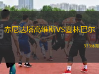 赤尼達塔高維斯VS塞林巴爾