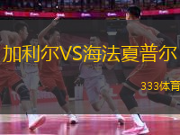 加利爾VS海法夏普爾