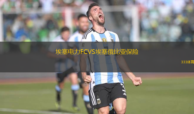 埃塞電力FCVS埃塞俄比亞保險