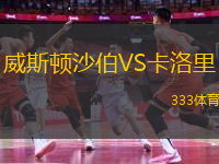 威斯頓沙伯VS卡洛里