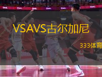 VSAVS古爾加尼