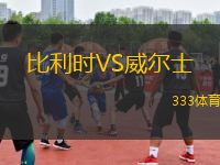比利時VS威爾士