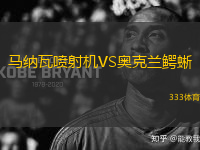 馬納瓦噴射機VS奧克蘭鱷蜥