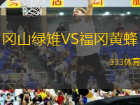 岡山綠雉VS福岡黃蜂