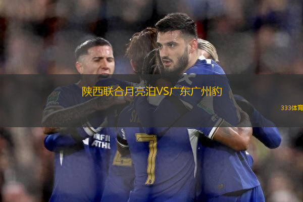 陜西聯(lián)合月亮泊VS廣東廣州豹