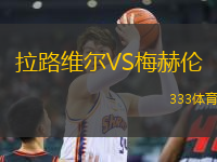 拉路維爾VS梅赫倫