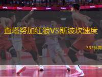 查塔努加紅狼VS斯波坎速度