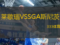 萊歇瑙VSSGA斯尼茨