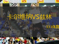 卡爾維納VS茲林