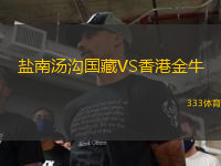 鹽南湯溝國(guó)藏VS香港金牛