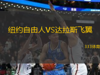 紐約自由人VS達拉斯飛翼