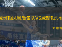 威靈頓鳳凰后備隊(duì)VS威斯頓沙伯